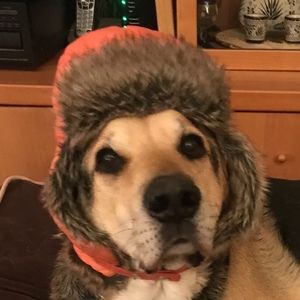 Meet your Posher, Posh